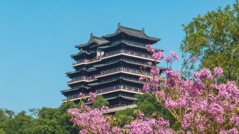 春日花影映儋阳