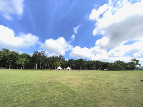 鹿鸣雨林
